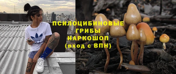 бошки Алзамай