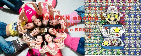 шишки Алексин